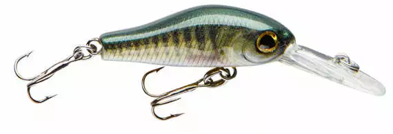 Cormoran COR F2 - Afbeelding 2