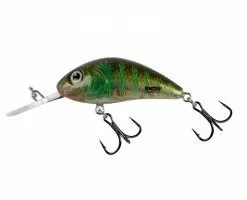 Salmo Floating Rattlin'Hornet 5,5cm