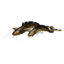 Savage Gear 3D Line Thru Burbot 36cm