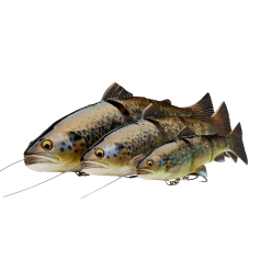 Savage Gear 4D Line Thru Trout