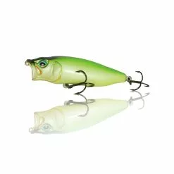 Suxxes Gecko Big Popp 80